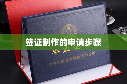 绿春签证制作的申请步骤
